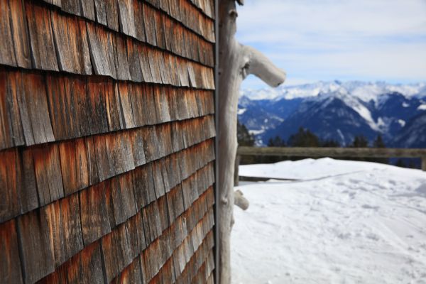 Cedar Siding Repair in Dayton