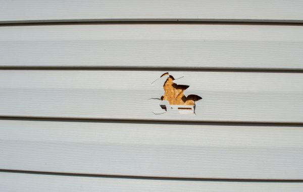 Siding Hole Repair in Dayton