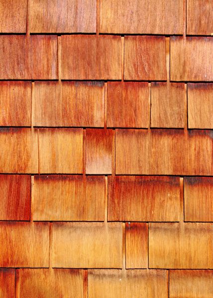 Cost of Wood Siding Replacement in Dayton