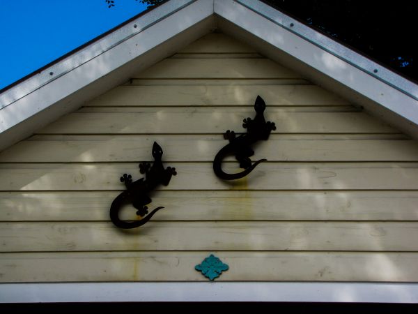 Cost of Shiplap Siding Installation in Dayton